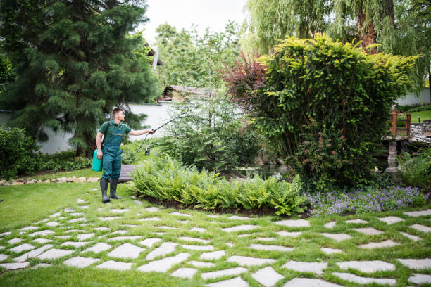 Best Pest Control Treatment  in Havelock, NC