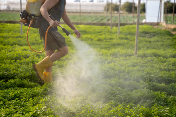Best Pest Control Near Me  in Havelock, NC