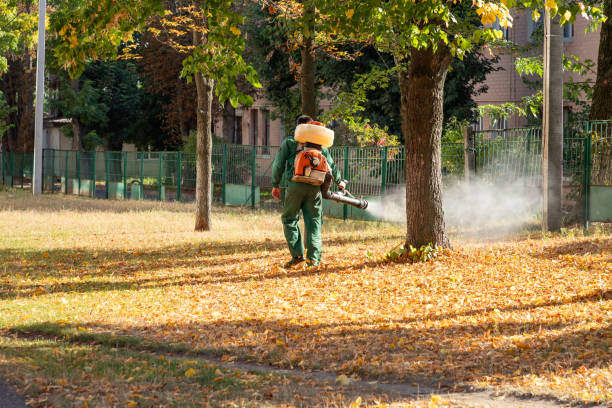 Best Wildlife Control Services  in Havelock, NC