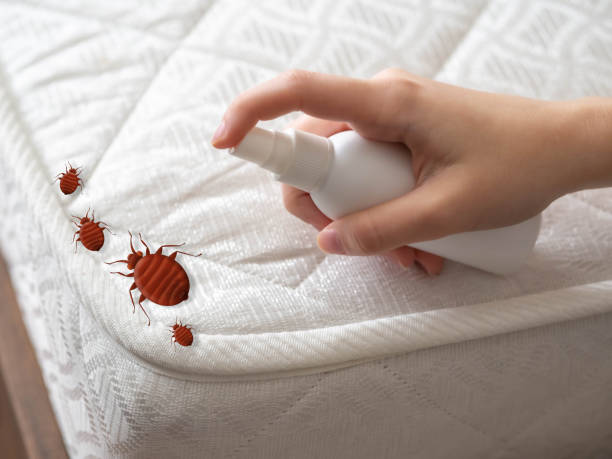 Best Pest Inspection Near Me  in Havelock, NC