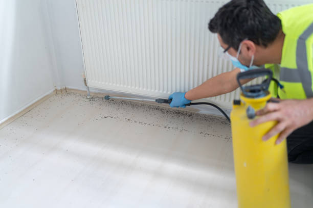 Best Affordable Pest Control Services  in Havelock, NC